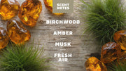 Birchwood Breeze Invisible Glide Deodorant - Clean Daily Glide