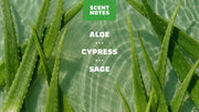 Cool Fresh Aloe Lotion - Outdoor Smooth Finish