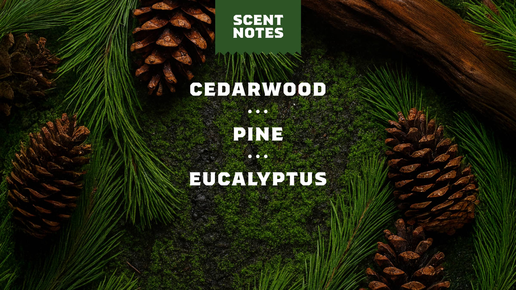 Pine Tar Invisible Glide Deodorant - Travel Active Routine