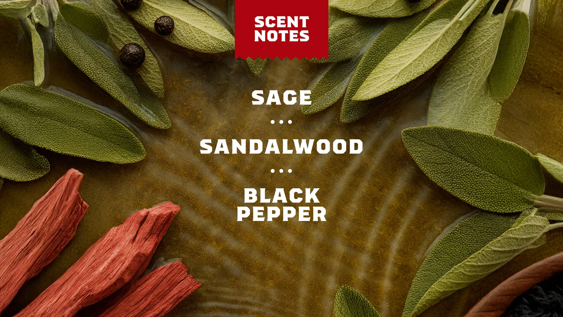 Sandalwood Summit Spray Deodorant - Classic Active Carry