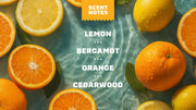 Summer Citrus Conditioner - Morning Wash