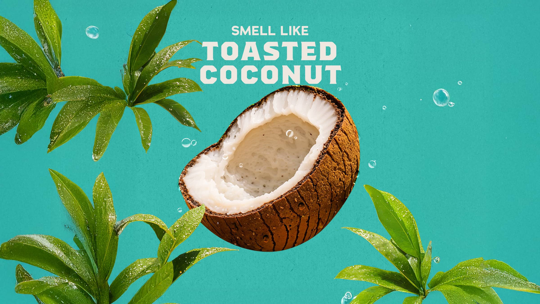 14 oz Coconut Castaway Body Wash - Forest Start