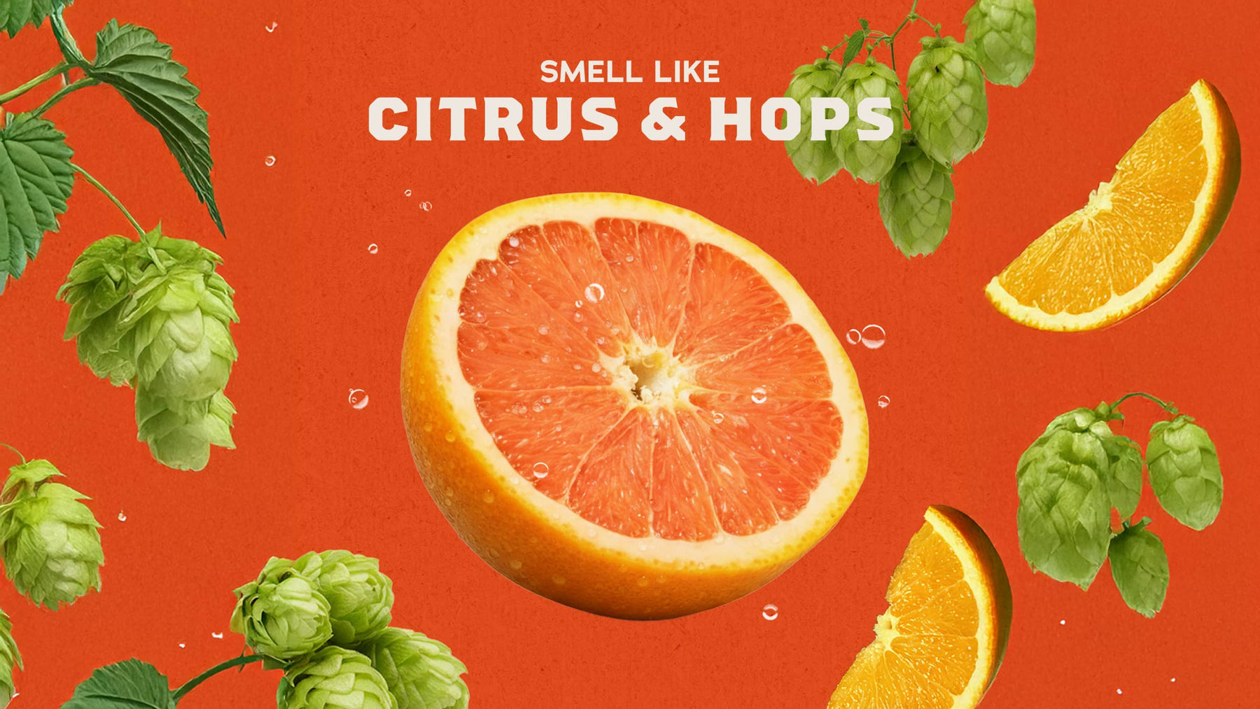 Grapefruit IPA - Modern Shower Lather