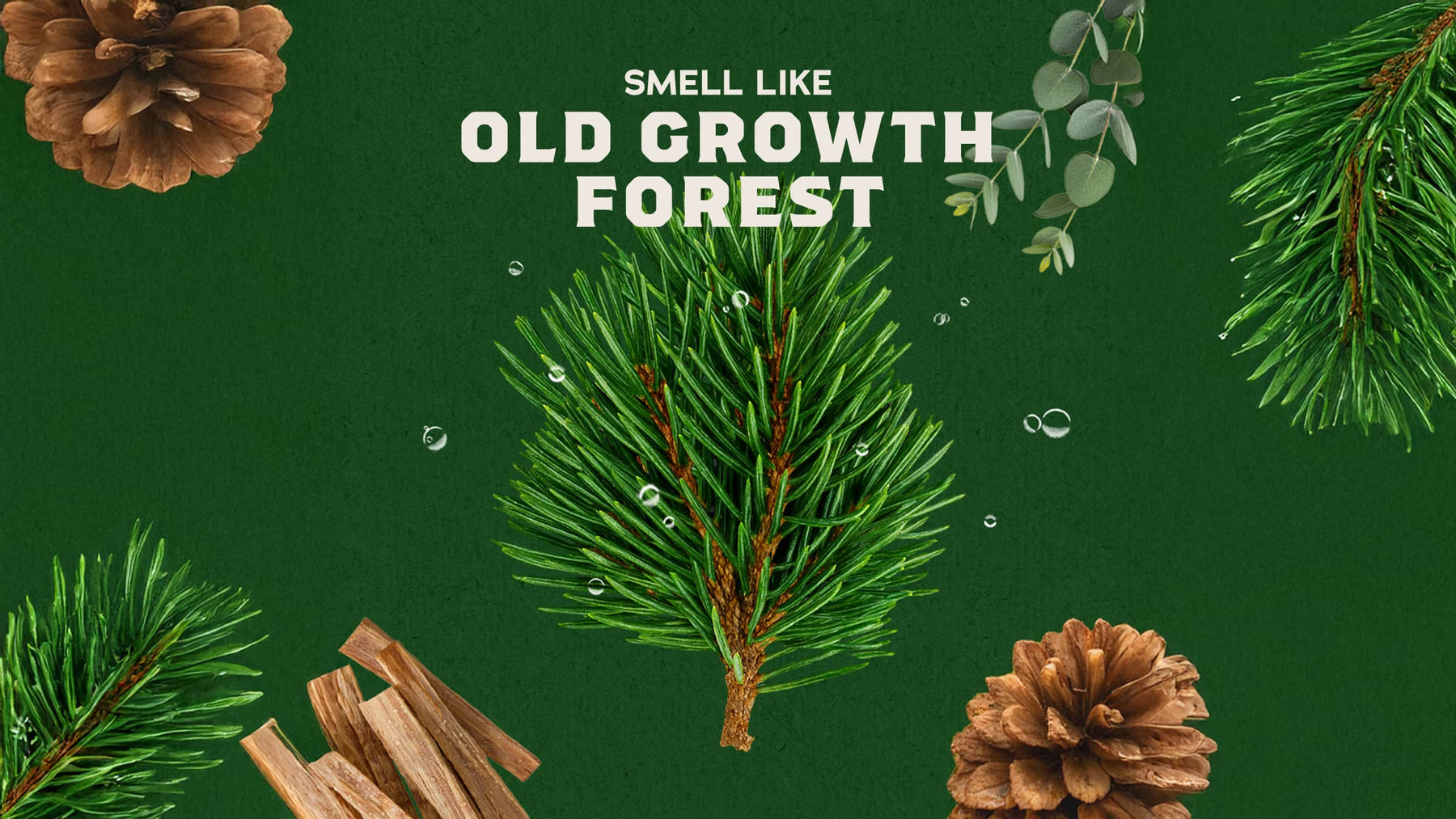 Pine Tar Spray Deodorant - Simple Active Guard