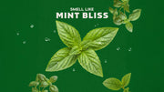Spearmint Basil - Outdoor Fresh Start