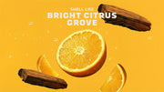 Summer Citrus Deodorant - Clean Finish