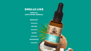 Beard Oil 3-Pack - Active Outdoor Lineup